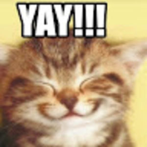 Meet your Posher, Hayden